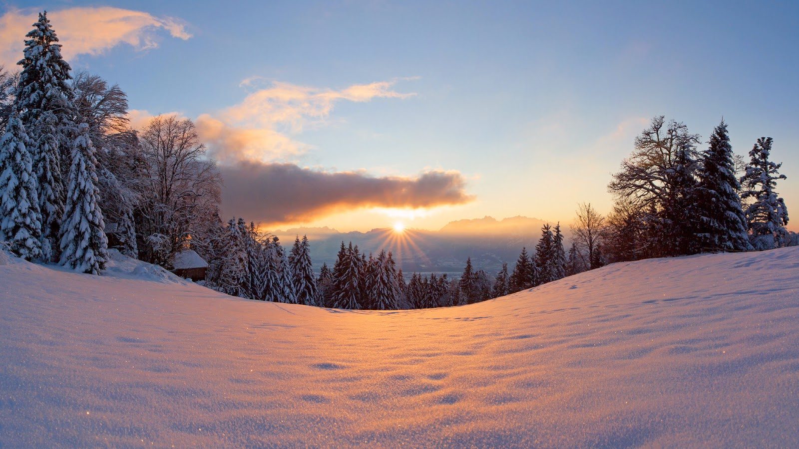 winter_snow_light_trees_sun_forest_2048x1152-1849308