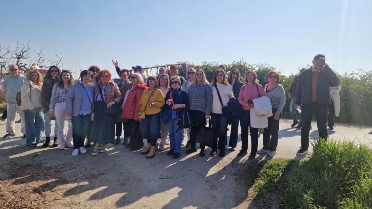 anthismenes rodakinies 2026-03